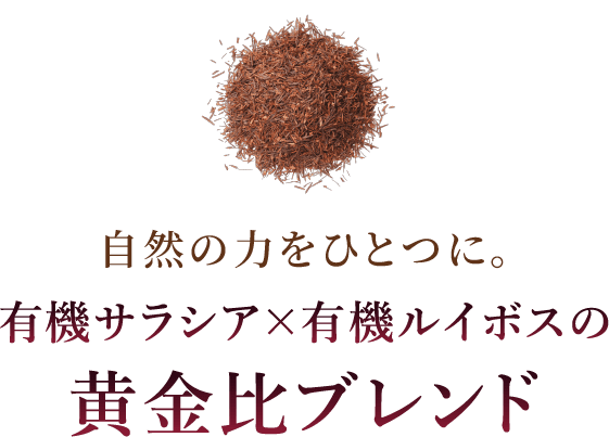 自然の力をひとつに。有機さラシア×有機ルイボスの黄金比ブレンド